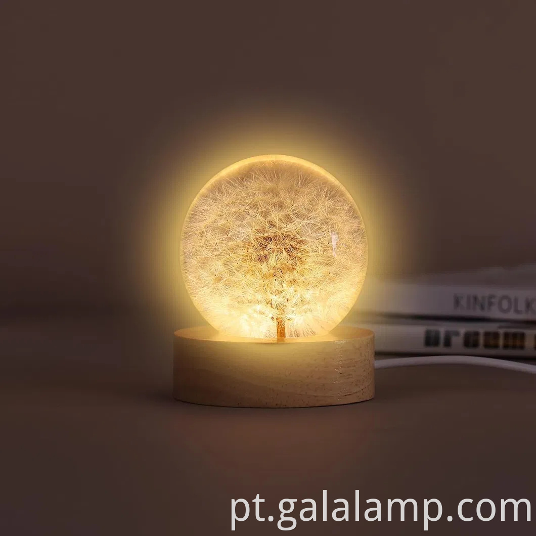 Luz noturna eterna da flor, o presente que nunca murcha